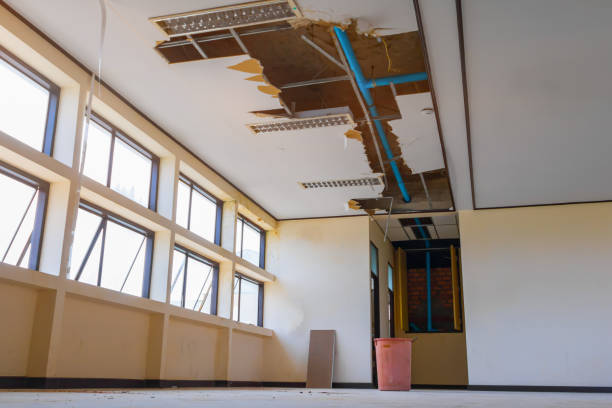 Best Local water damage restoration  in Cullman, AL