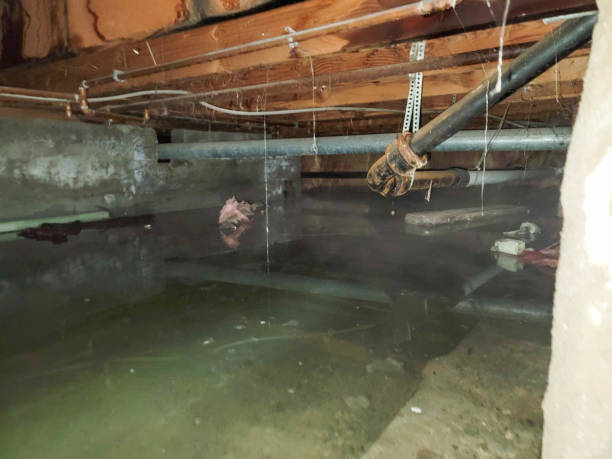 Water damage restoration experts in Cullman, AL