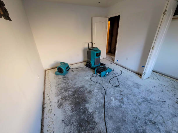 Best Water damage restoration near me  in Cullman, AL