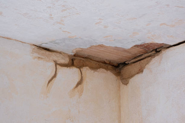 Best Water damage restoration experts  in Cullman, AL