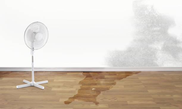 Best Water damage repair service  in Cullman, AL