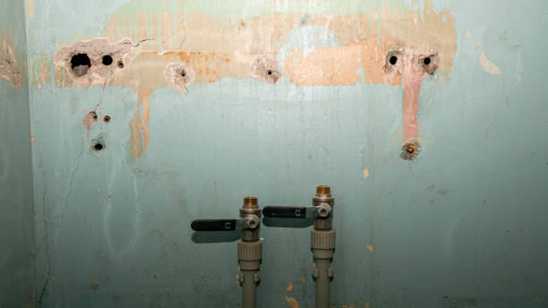 Best Residential water damage restoration  in Cullman, AL