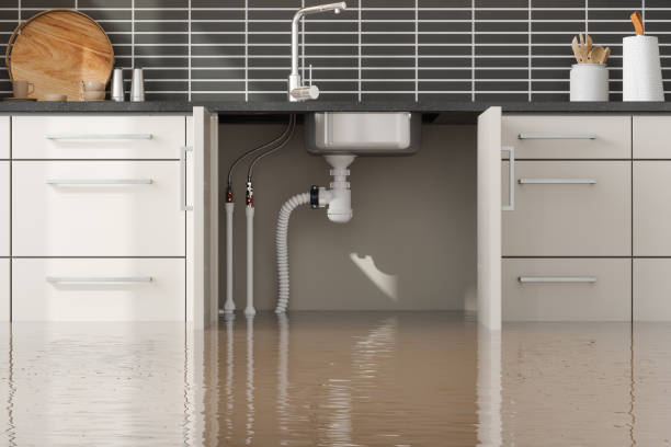 Best Carpet water damage restoration  in Cullman, AL